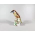 Picture 1/12 -HEREND, BROWN SINGER BIRD 6.6", HANDPAINTED PORCELAIN FIGURINE ! (A040)