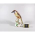 Picture 2/12 -HEREND, BROWN SINGER BIRD 6.6", HANDPAINTED PORCELAIN FIGURINE ! (A040)