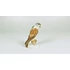 Picture 1/12 -HEREND, BROWN AND GRAY FALCON BIRD, HANDPAINTED PORCELAIN FIGURINE (B168)