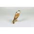 Picture 3/12 -HEREND, BROWN AND GRAY FALCON BIRD, HANDPAINTED PORCELAIN FIGURINE (B168)