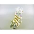 Picture 9/12 -HEREND, ROYAL GARDEN CHINESE FOO DOG 6", HANDPAINTED PORCELAIN FIGURINE ! (H034)