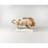 Picture 7/12 -ZSOLNAY, BUFFALO STANDING, VINTAGE HANDPAINTED PORCELAIN FIGURINE ! (J310)