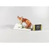 Picture 2/12 -HEREND, FOX STANDING 4.4", HANDPAINTED PORCELAIN FIGURINE  ! (K004)